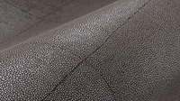 Animal skin
