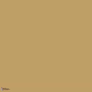 Little Greene Bassoon 336 Farbe