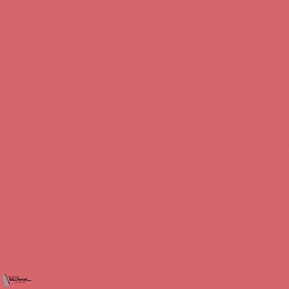 Little Greene Carmine 189 Farbe