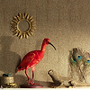 Iguana wallpaper-Masureel-Selected-Wallpapers-Interiors