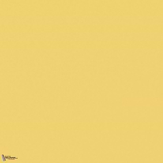 Little Greene Indian Yellow 335 Farbe
