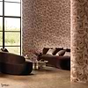 Modulo roomshot
