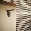 Otillo wallpaper-Romo-Selected Wallpapers-Interiors