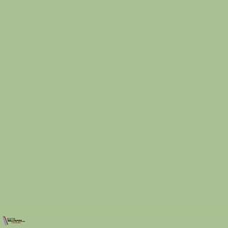 Little Greene Pea Green 91 Farbe