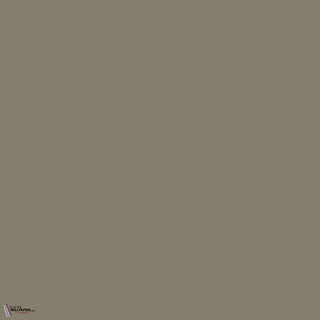 Little Greene Silt 40 Farbe