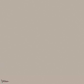 Little Greene Slaked Lime Dark 151 Farbe