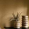 Soft 2-Texdecor-wallpaper-Selected Wallpapers