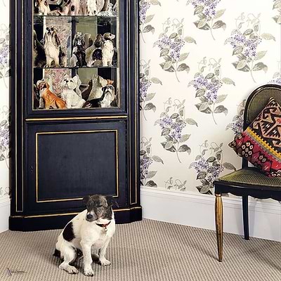 Madras Violet Tapete van Cole & Son