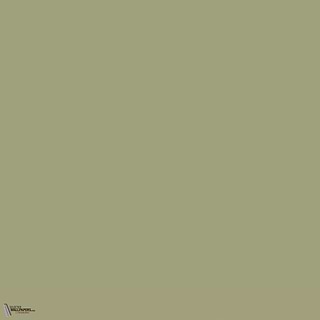 Little Greene Normandy Grey 79 Farbe