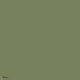 Little Greene Sage Green 80 Farbe