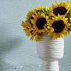 Taluk Sisal-Wallpaper-Thibaut-Selected Wallpapers