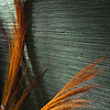 Zostera-Wallpaper-Casamance-Selected Wallpapers