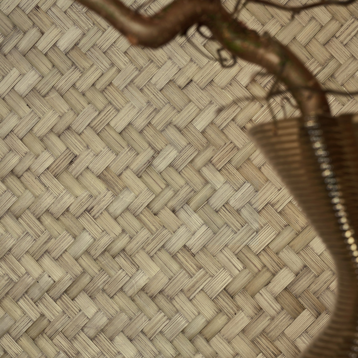 Bamboo Wallcovering wallpaper collection CMO Paris