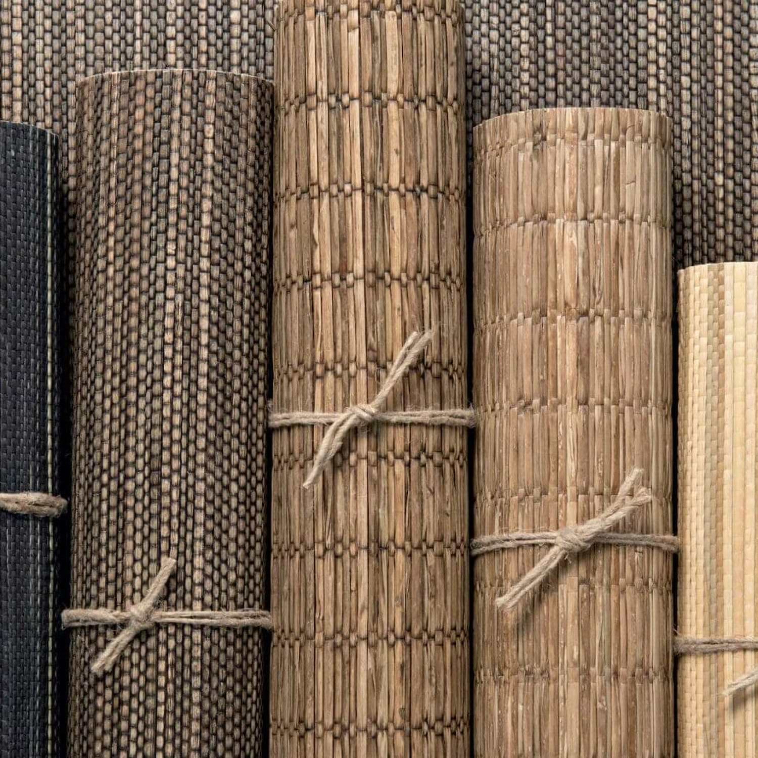 Papyrus Wallcovering wallpaper collection CMO Paris