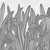 Flying in the Meadow wallpaper-LondonArt-03-Silver-S480-M2-Selected Wallpapers & Interiors