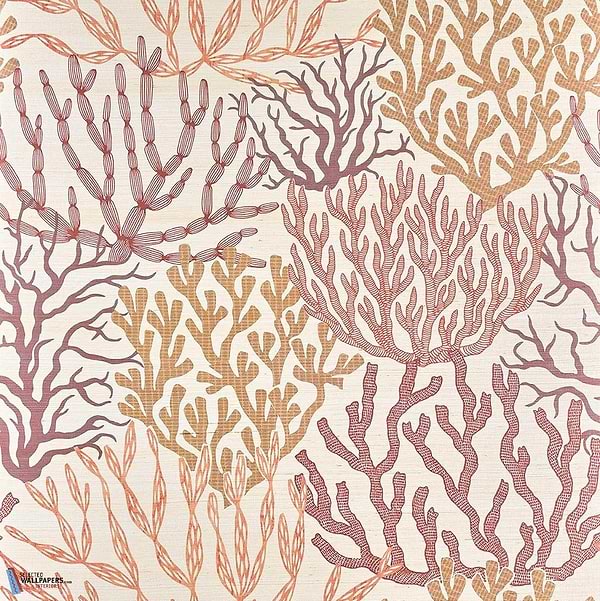 Acropora-Pierre Frey-Tapete-01-Meter (M1)-Selected Wallpapers
