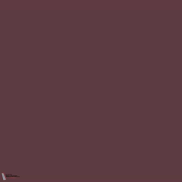 Adventurer verf Little Greene 7-Selected-Wallpapers-Interiors