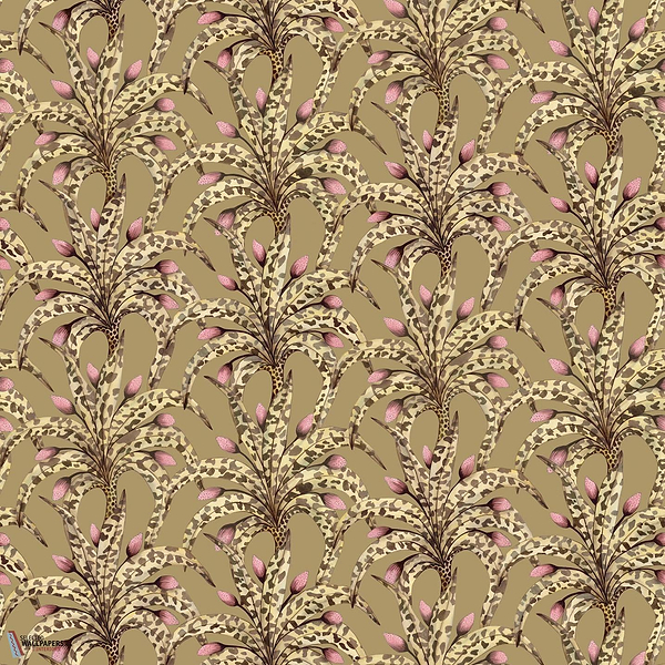 Afrika Damask Tapete-Cole & Son-Safari & Blush-Rolle-Selected Wallpapers-Interiors