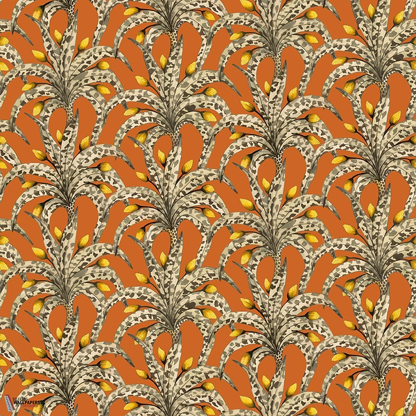 Afrika Damask Tapete-Cole & Son-Tangarine & Marigold-Rolle-Selected Wallpapers-Interiors