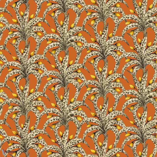 Afrika Damask Tapete-Cole & Son-Tangarine & Marigold-Rolle-Selected Wallpapers-Interiors