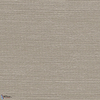 Agave-Arte-behang-Pigeon-Meter (M1)-Selected Wallpapers