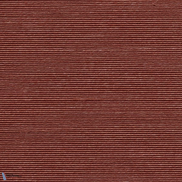 Agave-Arte-Tapete-Vintage Coral-Meter (M1)-Selected Wallpapers