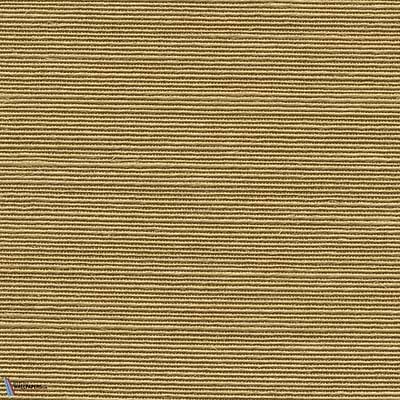 Agave-Arte-behang-Selected Wallpapers