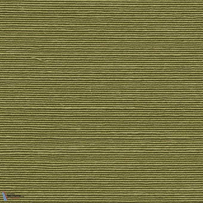 Agave-Arte-behang-Selected Wallpapers