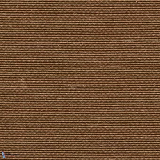 Agave-Arte-behang-Selected Wallpapers