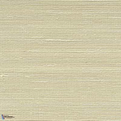 Agave-Arte-behang-Selected Wallpapers
