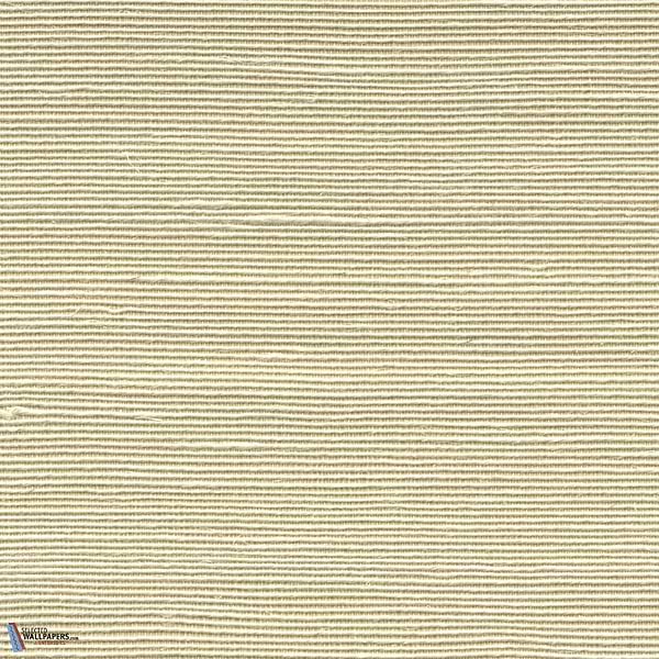 Agave-Arte-Tapete-Selected Wallpapers