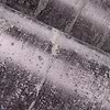 Alepine-Tapete-Arte-Selected Wallpapers