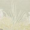 Algife wallpaper-Wall & Deco-02-Wet System-M2-Selected Wallpapers-Interiors