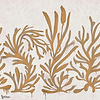 Algues Dorees Tapete-Elitis-01-Rolle-Selected-Wallpapers-Interiors