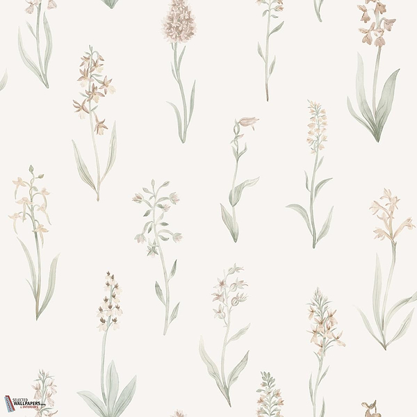 Alma Tapete-Sandberg-Blush-Rolle-Selected Wallpapers-Interiors