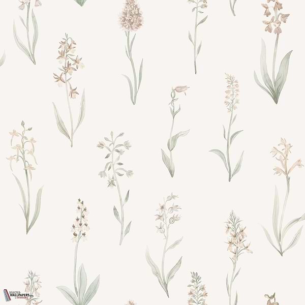 Alma Tapete-Sandberg-Blush-Rolle-Selected Wallpapers-Interiors