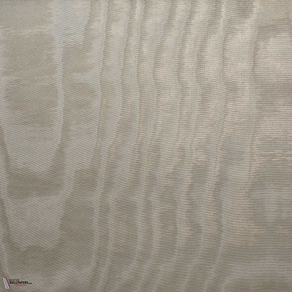 Amoir Libre Metallo Wall Tapete-Dedar-Argento-Meter (M1)-Selected Wallpapers-Interiors