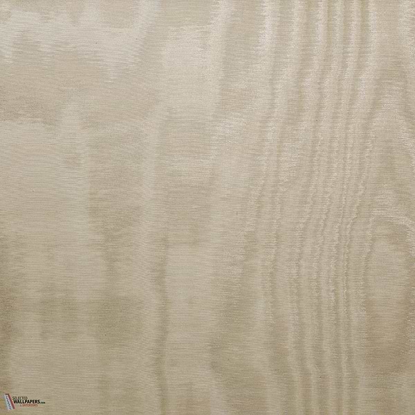 Amoir Libre Metallo Wall Tapete-Dedar-Poudre-Meter (M1)-Selected Wallpapers-Interiors