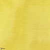 Amoir Libre Wall-wallpaper-Dedar-Canari-Meter (M1)-02D2300700034-Selected Wallpapers