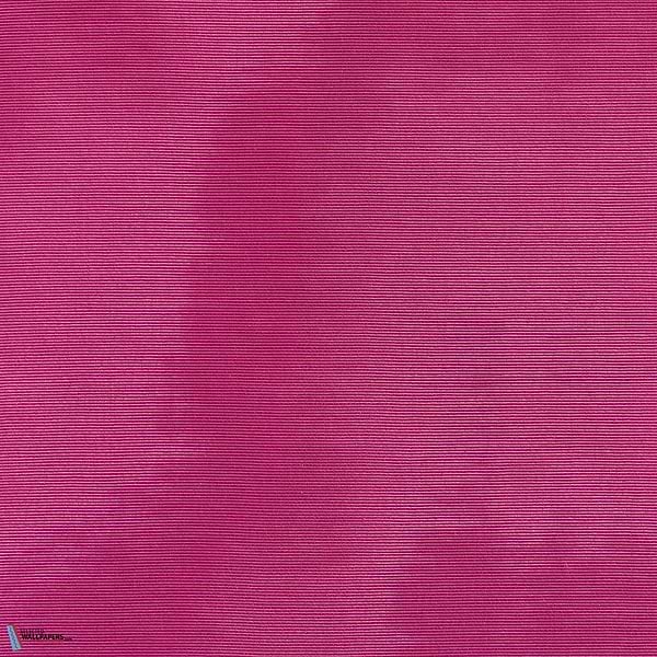 Amoir Libre Wall-Tapete-Dedar-Shocking-Meter (M1)-02D2300700047-Selected Wallpapers