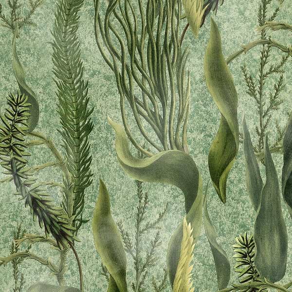 Aquatic Plants wallpaper-Mind the Gap-Green-300 cm (standaard)-Selected-Wallpapers-Interiors