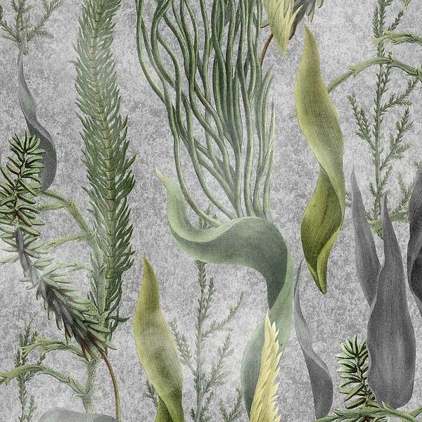 Aquatic Plants wallpaper-Mind the Gap-Grey-300 cm (standaard)-Selected-Wallpapers-Interiors