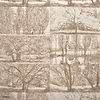 Arbes et sous Bois Tapete-Pierre Frey-Bouleau-Meter (M1)-Selected Wallpapers-Interiors