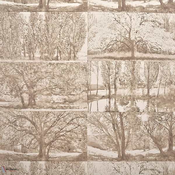 Arbes et sous Bois Tapete-Pierre Frey-Bouleau-Meter (M1)-Selected Wallpapers-Interiors