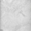 Aris Tapete-Texam-601-Paneel-Selected Wallpapers-Interiors
