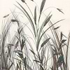 Arundo wallpaper-Wall & Deco-02-Wet System-M2-Selected Wallpapers-Interiors