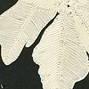 Asvata wallpaper-Elitis-80-Roll-Selected Wallpapers-Interiors