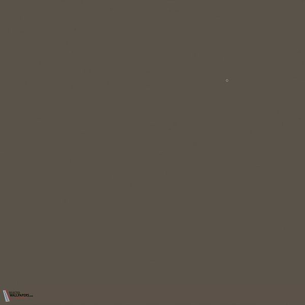 Attic II Farbe Little Greene 144-Selected-Wallpapers-Interiors
