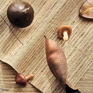 Bambou Rayé wallpaper-CMO Paris-Selected Wallpapers-Interiors