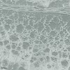 Belvedere behang-Texam-RL102-Meter (M1)-Selected-Wallpapers-Interiors